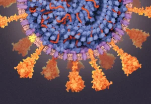 COVID-19: Understanding the Coronavirus Pandemic